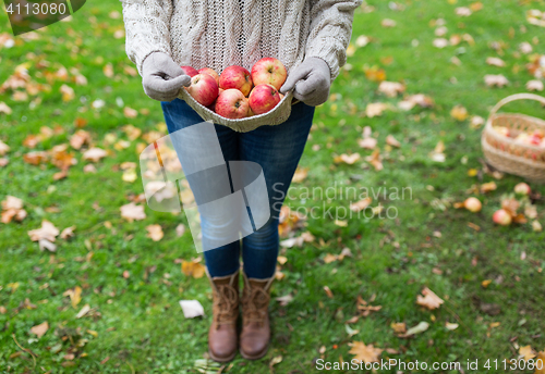 Image of woman with apples at autumn garden