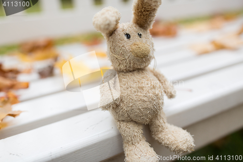 Image of toy rabbit on bench in autumn park