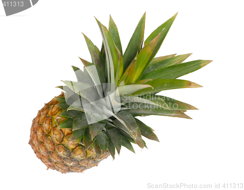 Image of Pineapple