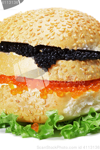 Image of Caviar burger against white closeup