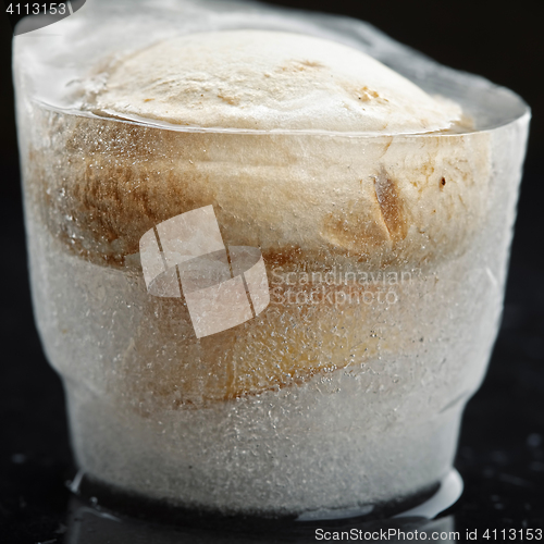 Image of Mushroom in ice