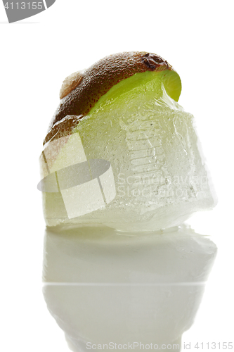 Image of Kiwi partly frozen in ice