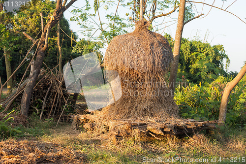 Image of Bale of hay