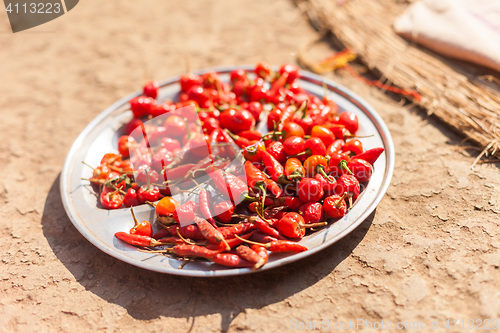 Image of Chili peppers drying in the sun