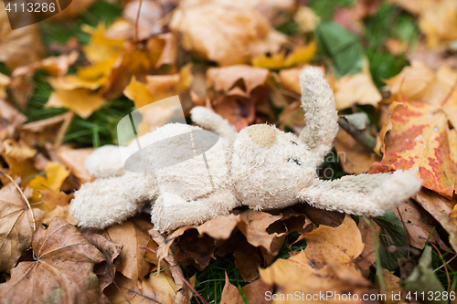 Image of toy rabbit in fallen autumn leaves