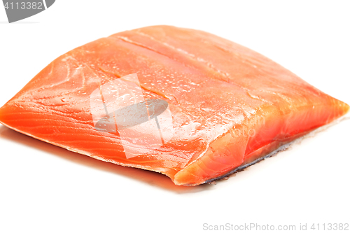 Image of Salmon fish