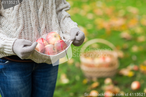 Image of close up of woman with apples in autumn