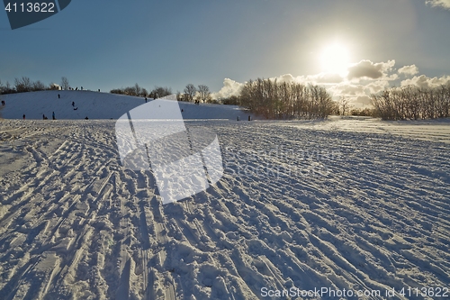 Image of Winter Snowy Day In The PArk