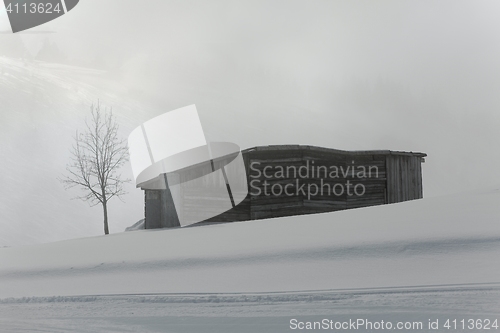 Image of Foggy winter landscape