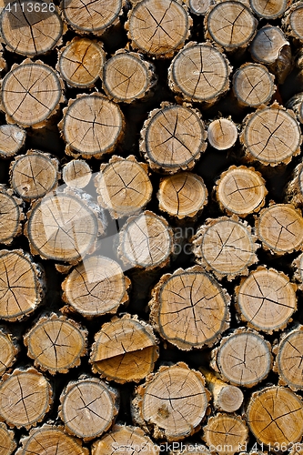 Image of Log wood pile