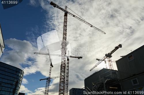 Image of Tall Construction Cranes