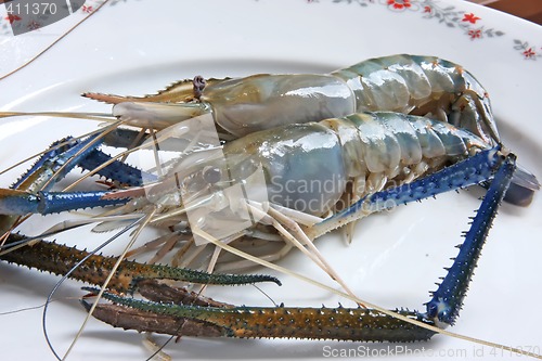 Image of Whole raw prawns