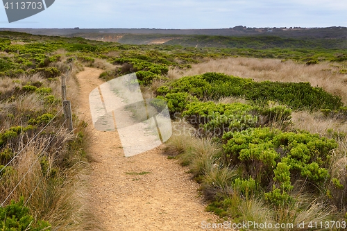 Image of Fields of Australian wild landscape