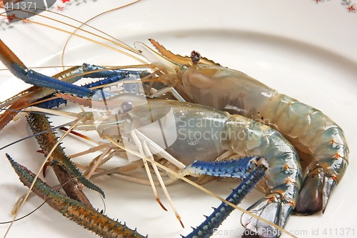 Image of Whole raw prawns