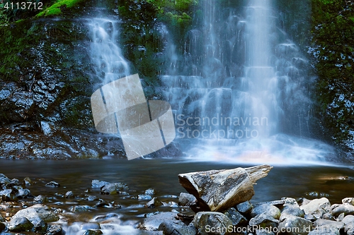 Image of Waterfall in the forest