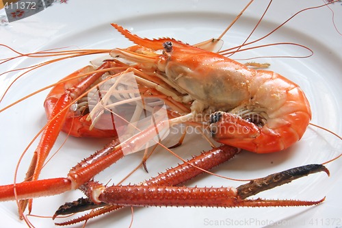 Image of Cooked prawn