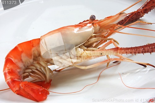 Image of Cooked prawn