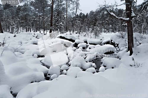 Image of Winter Snowy Landscape