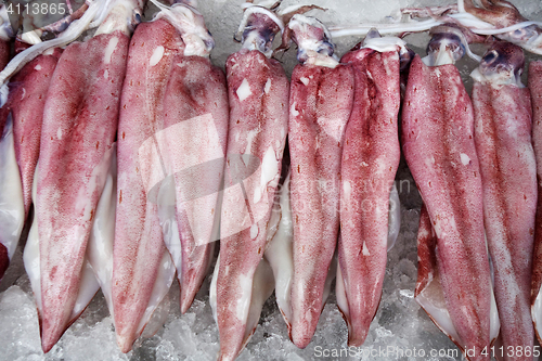 Image of Fresh cuttlefish on ice on the market