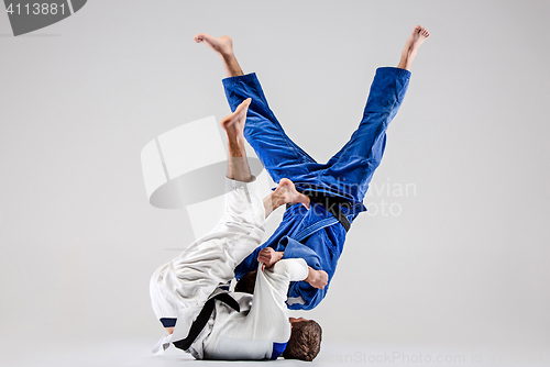 Image of The two judokas fighters fighting men