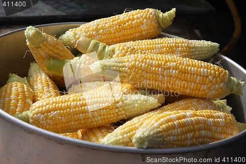 Image of Corn on the cob