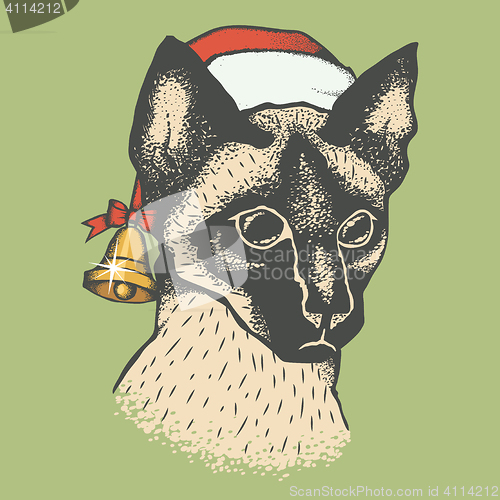 Image of Siam cat vector illustration