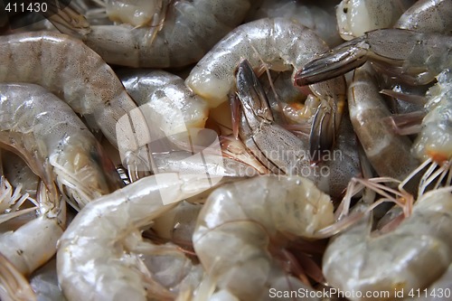 Image of Whole raw prawns