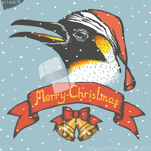 Image of Penguin vector illustration