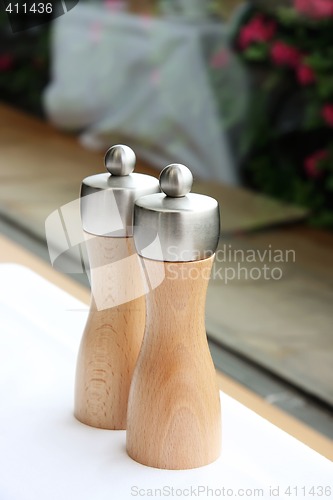 Image of Salt and pepper shakers
