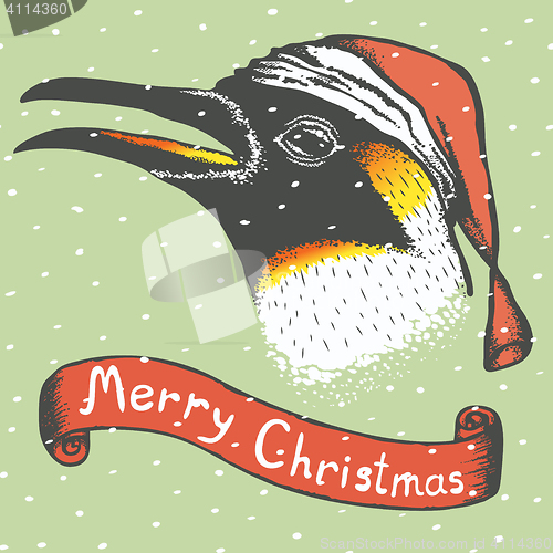 Image of Penguin vector illustration