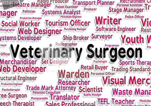 Image of Veterinary Surgeon Indicates General Practitioner And Career