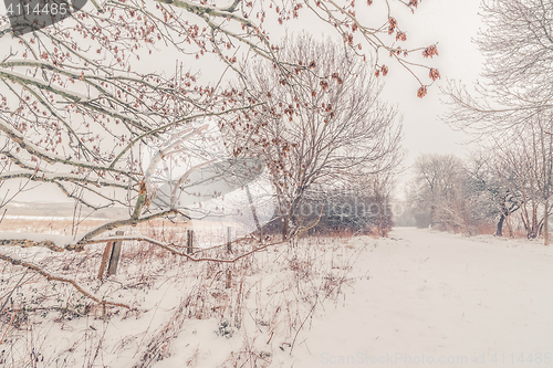 Image of Fence by a road covered with snow