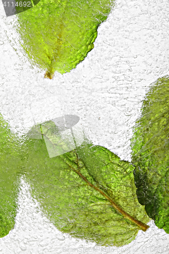 Image of Ice with frozen mint