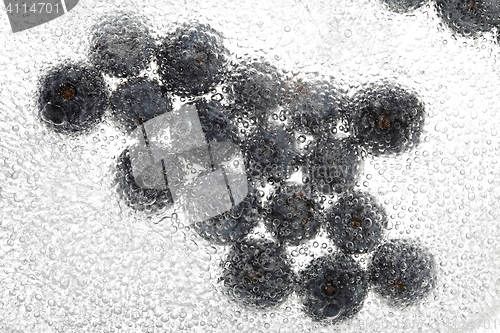 Image of Blueberries frozen in ice