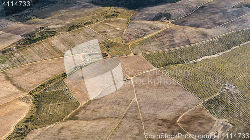 Image of Agriculture from the sky