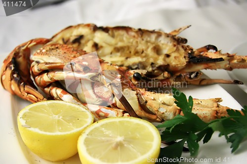 Image of Grilled lobster