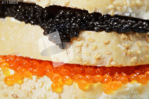 Image of Caviar sandwich closeup