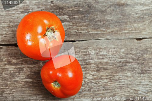 Image of Two tomatoes