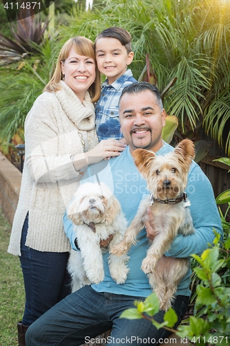 Image of Outdoor Mixed Race Family Portrait