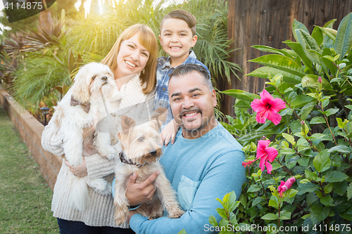 Image of Outdoor Mixed Race Family Portrait