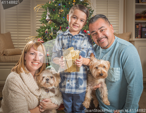 Image of Young Mixed Race Family In Front of Christmas Tree