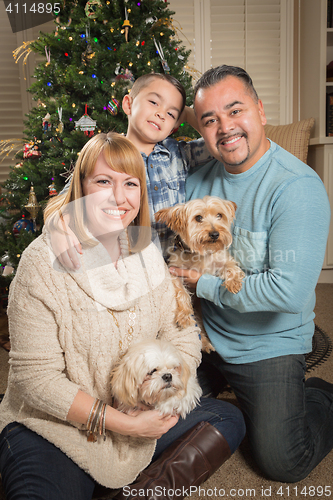 Image of Young Mixed Race Family In Front of Christmas Tree