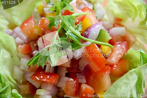 Image of Fresh salad