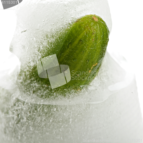 Image of Cucumber in ice