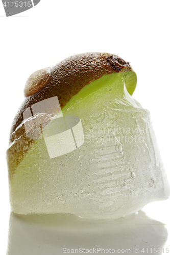 Image of Kiwi frozen in ice closeup