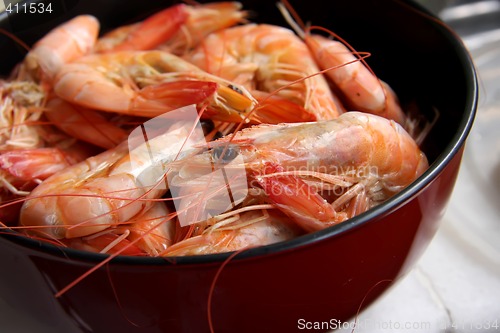 Image of Whole cooked prawns