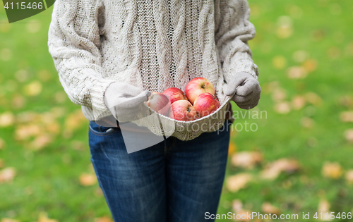 Image of close up of woman with apples in autumn