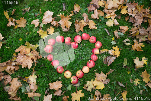 Image of apples in heart shape and autumn leaves on grass