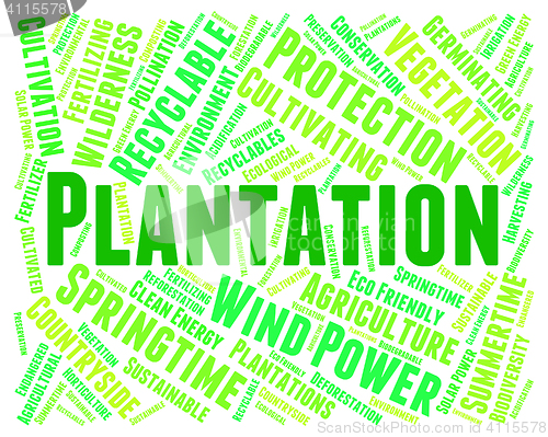 Image of Plantation Word Means Agriculture Ranch And Hacienda