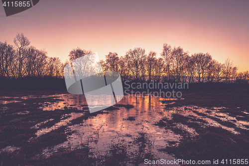Image of Frozen puddle in the sunset